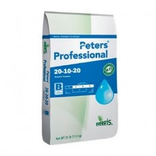 PETERS DESARROLLO  20-10-20