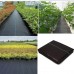 Ground cover (Anti-maleza)