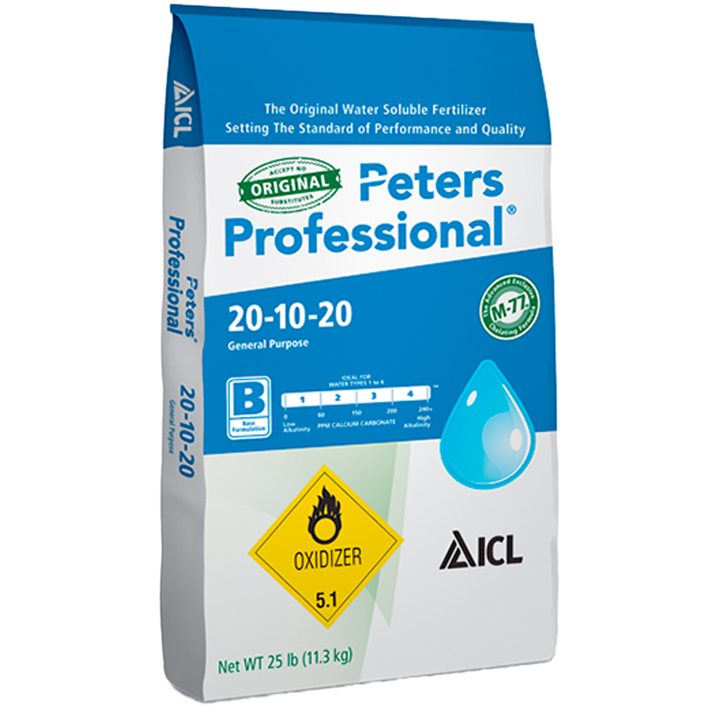 Peters Desarrollo 20-10-20