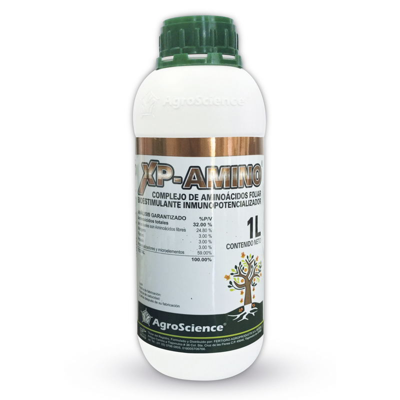 XP Amino