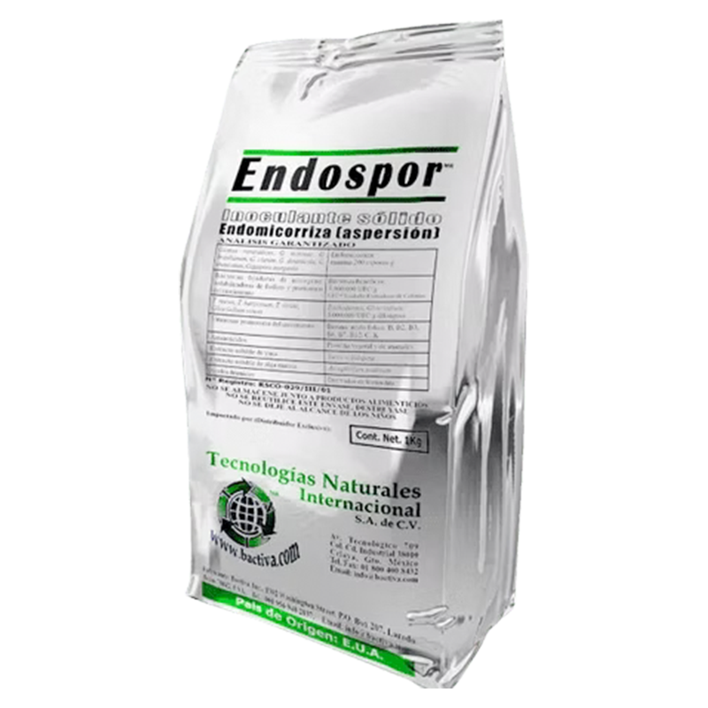 Endospor