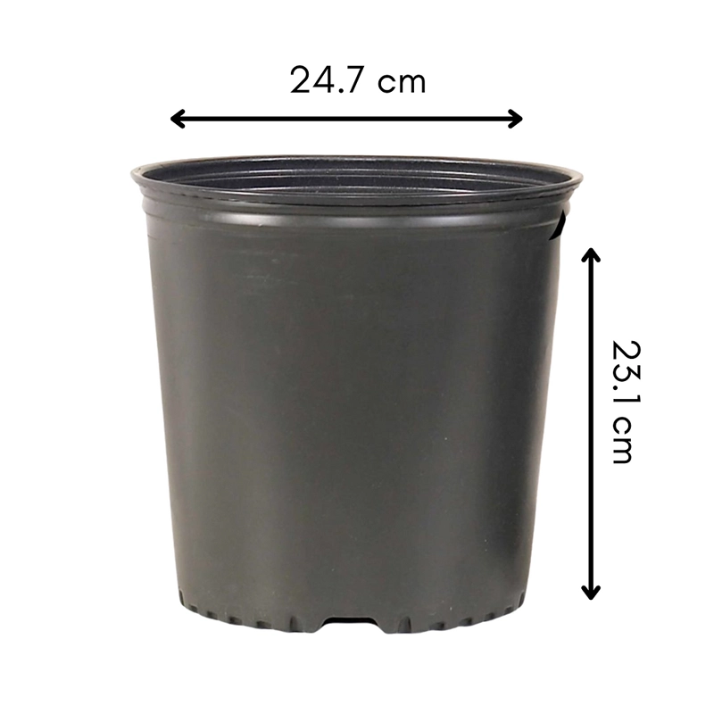 Contenedor 2.08 galones 200 series