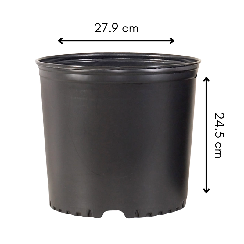 Contenedor 3 galones 300 series