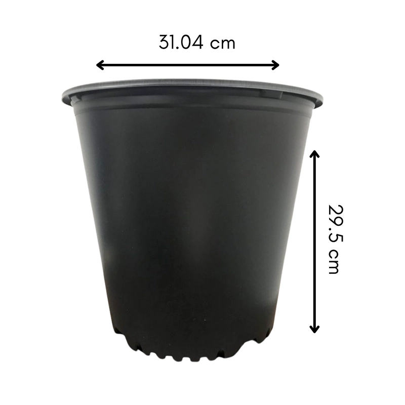 Contenedor 5 galones 500 series