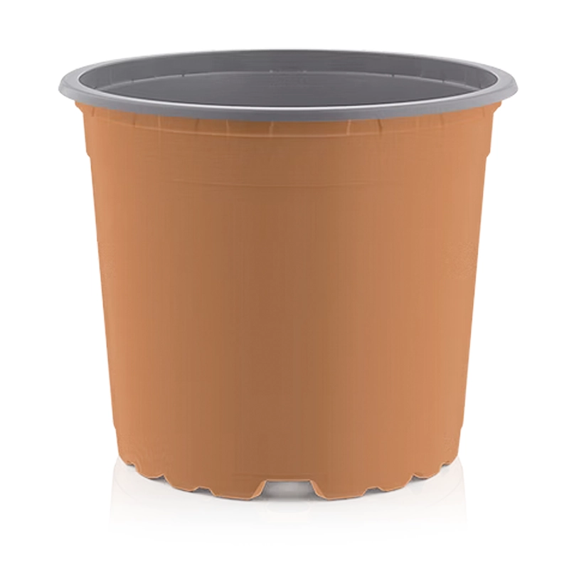 Maceta Terracota Vcg12